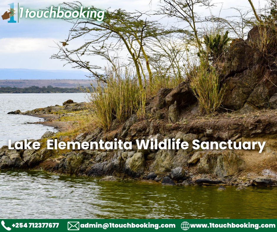 LAKE ELEMENTAITA WILDLIFE SANCTUARY(LEWS)