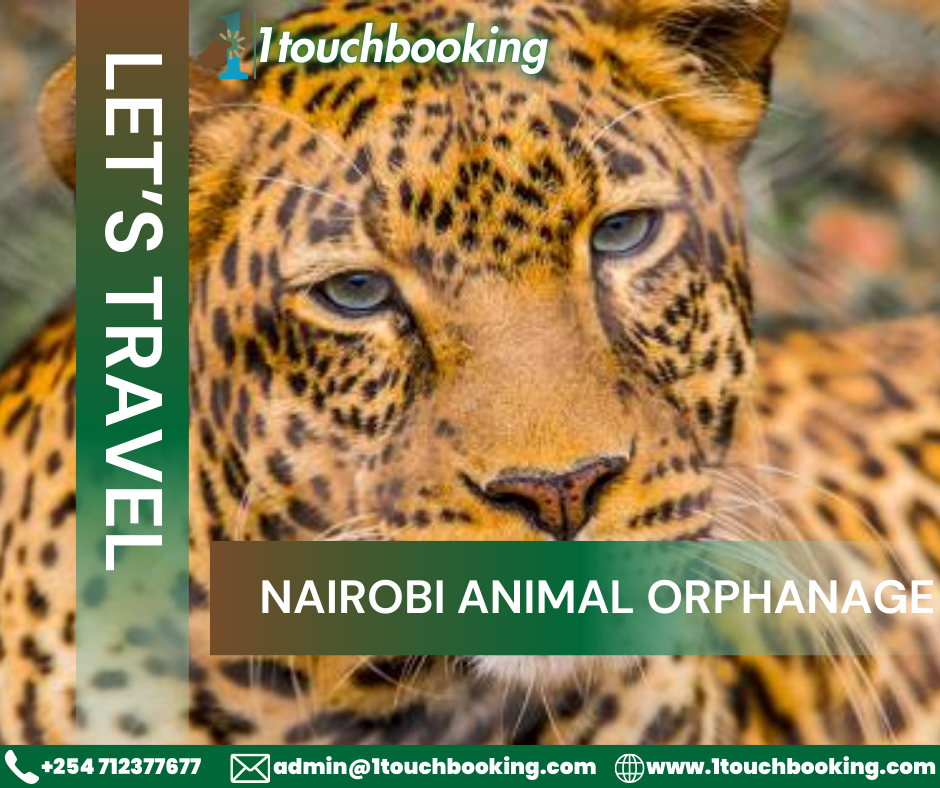 NAIROBI ANIMAL ORPHANAGE