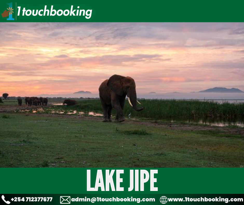 LAKE JIPE