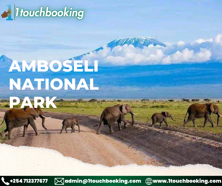 AMBOSELI NATIONAL PARK