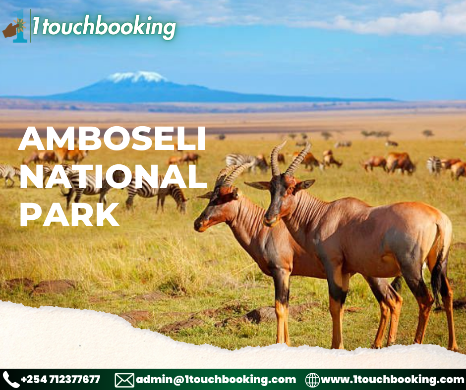 AMBOSELI NATIONAL PARK