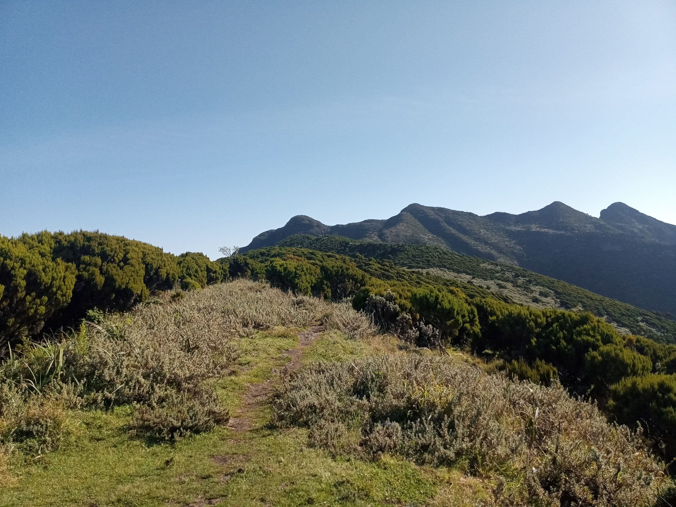 ELEPHANT HILLS
