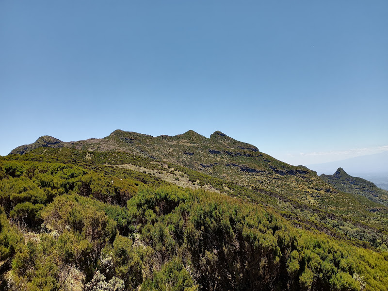 ELEPHANT HILLS