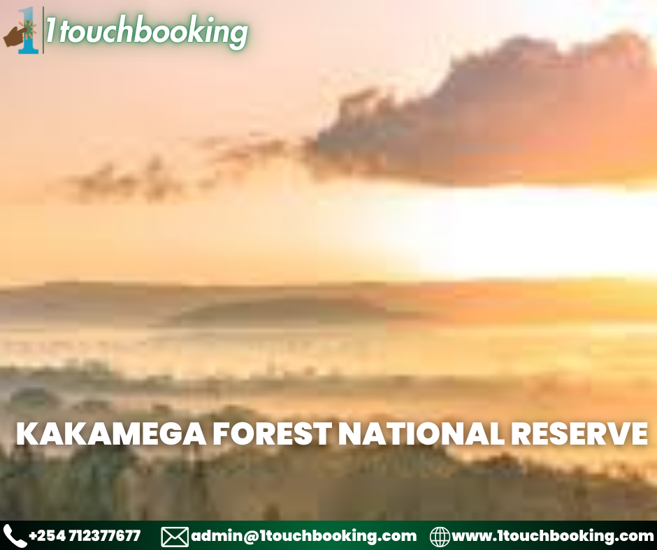 KAKAMEGA FOREST NATIONAL RESERVE