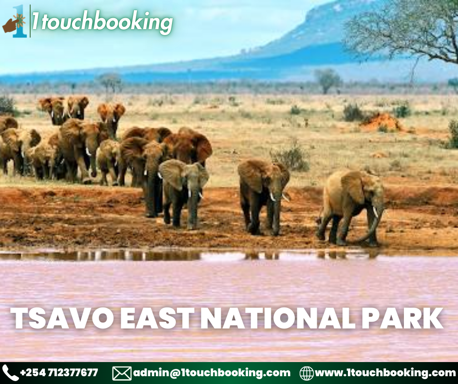 TSAVO EAST NATIONAL PARK