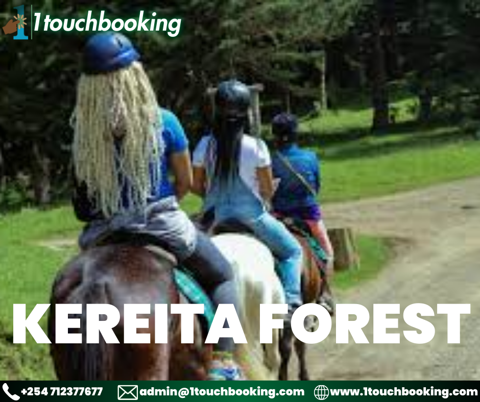 KEREITA FOREST