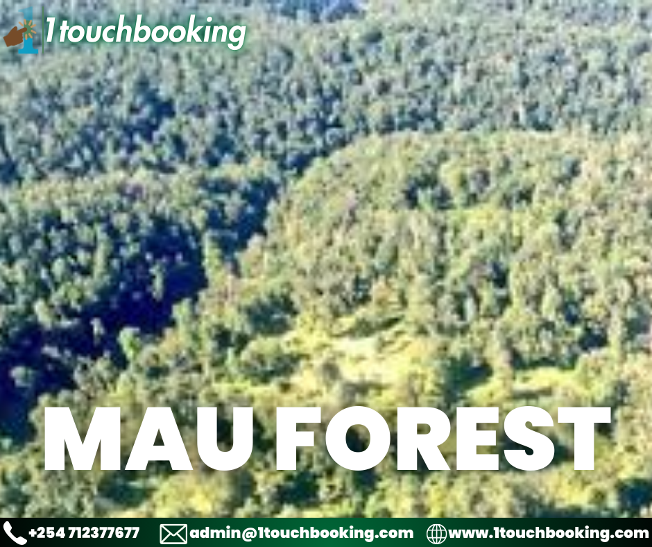 MAU FOREST