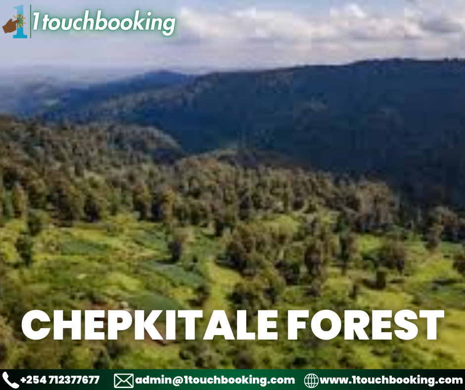 CHEPKITALE FOREST