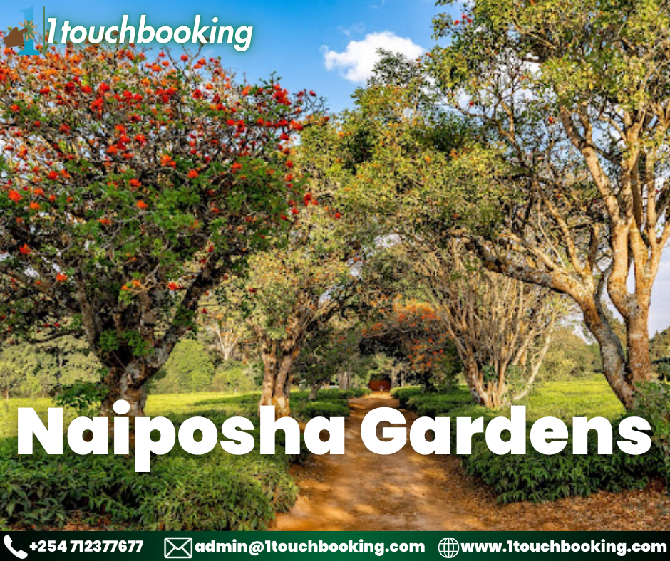 NAIPOSHA GARDENS
