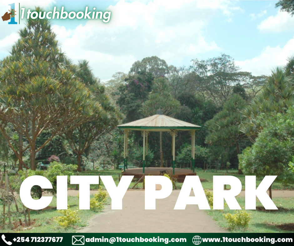 CITY PARK