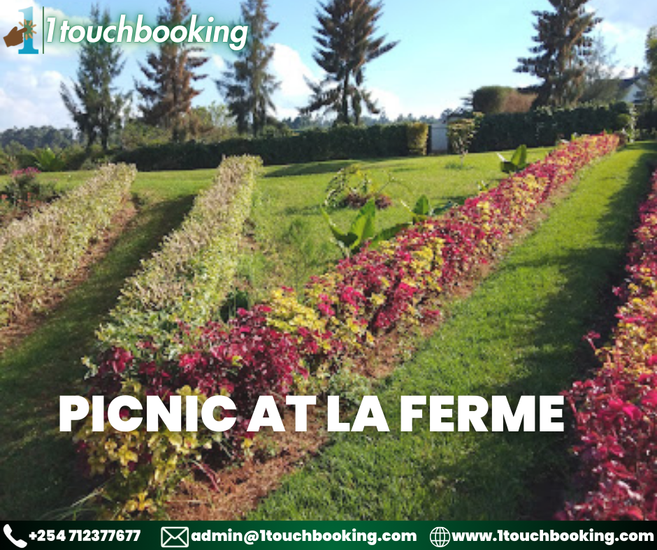 PICNIC AT LA FERME
